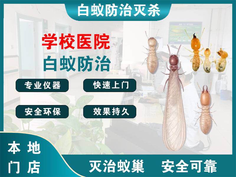 余杭学校医院白蚁防治