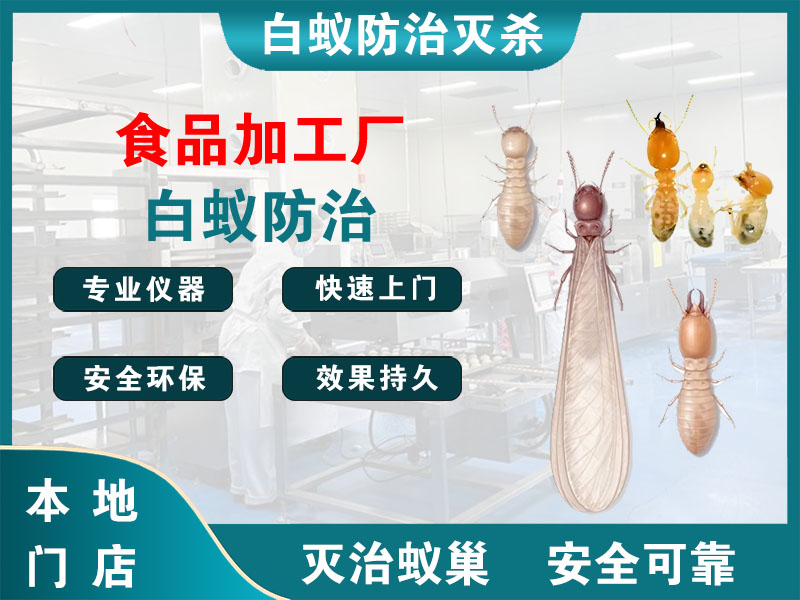 余杭食品加工厂白蚁防治
