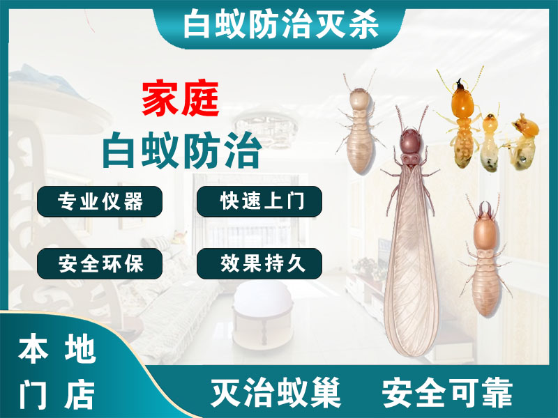 余杭家庭白蚁防治