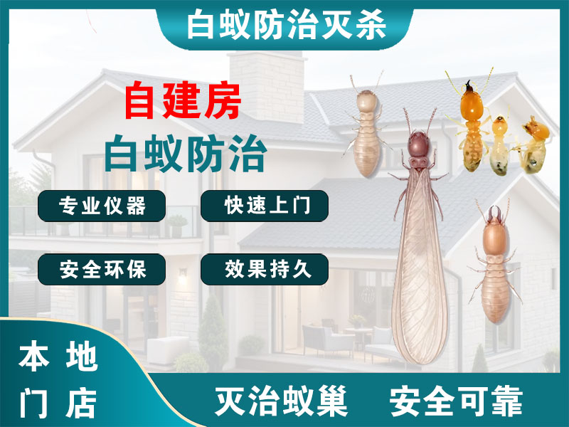 余杭自建房白蚁防治