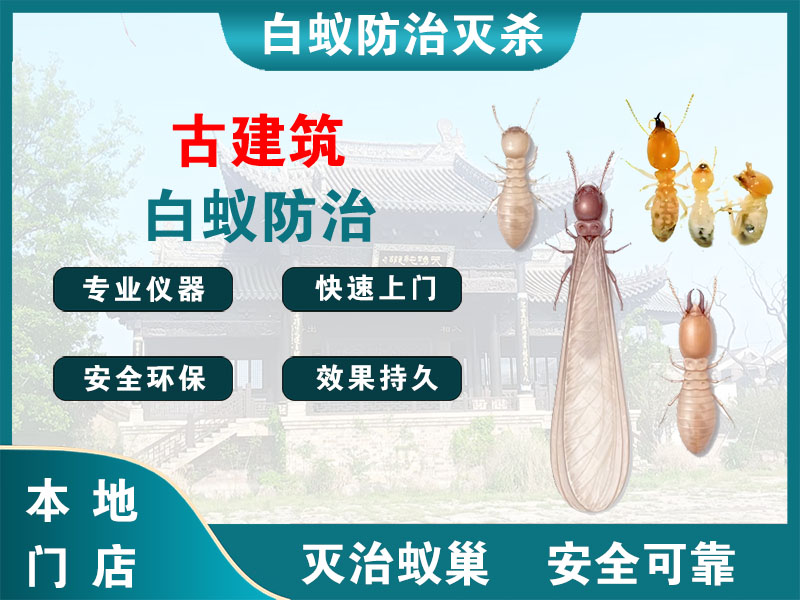 余杭古建筑白蚁防治