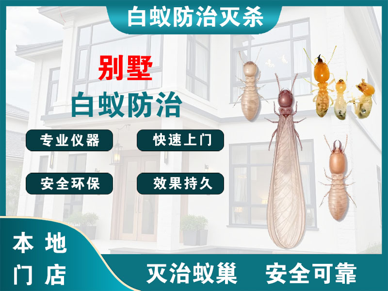 余杭别墅白蚁防治